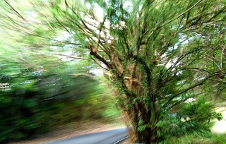 Illustration for article titled Motion Gallery 2